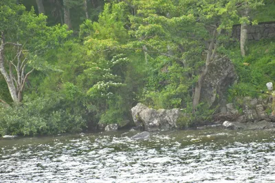 DSC_3721 (Large).JPG